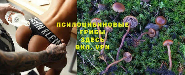 индика Богданович